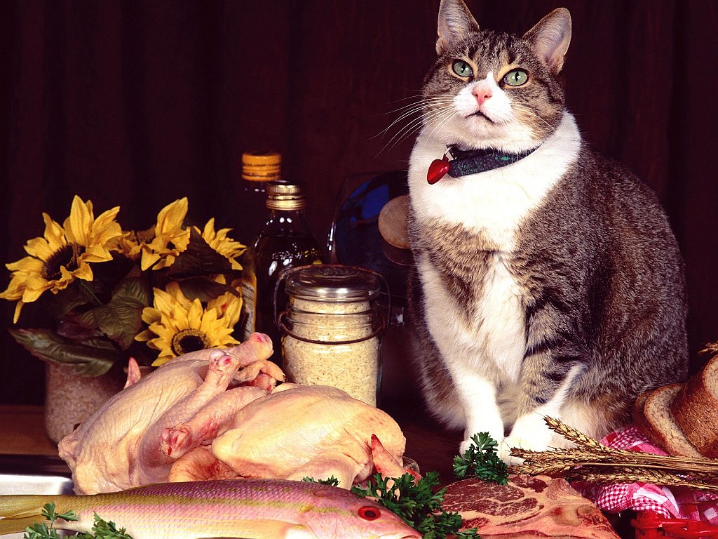 Fancy Feast, Manx Mix